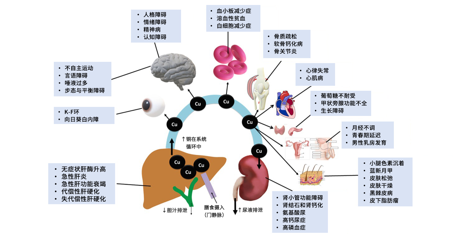 万象城AWC_官网